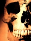 Skull1 1
